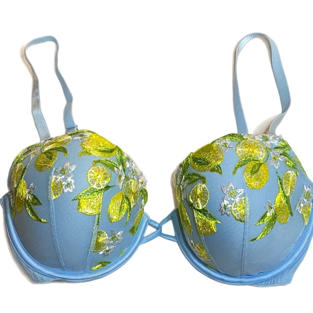 Victorias Secret DREAM ANGELS Lightly Lined Blue Embroidered LEMON DEMI Bra 34DD